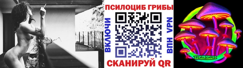 где продают наркотики  Полярный  Псилоцибиновые грибы Psilocybine cubensis 